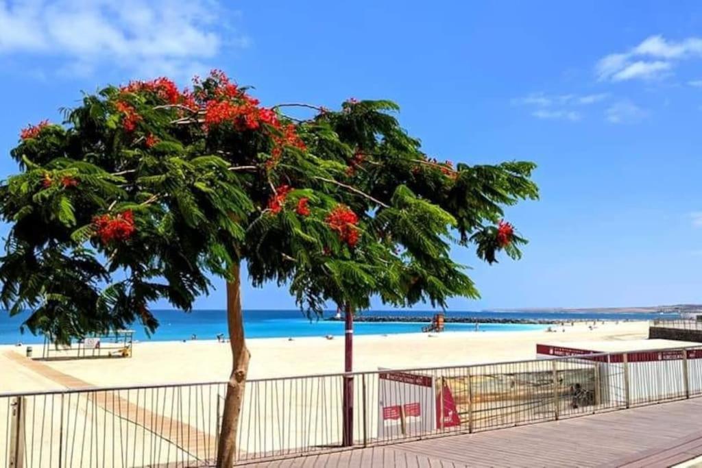 Spacieux Duplex Casa Maya Holiday home